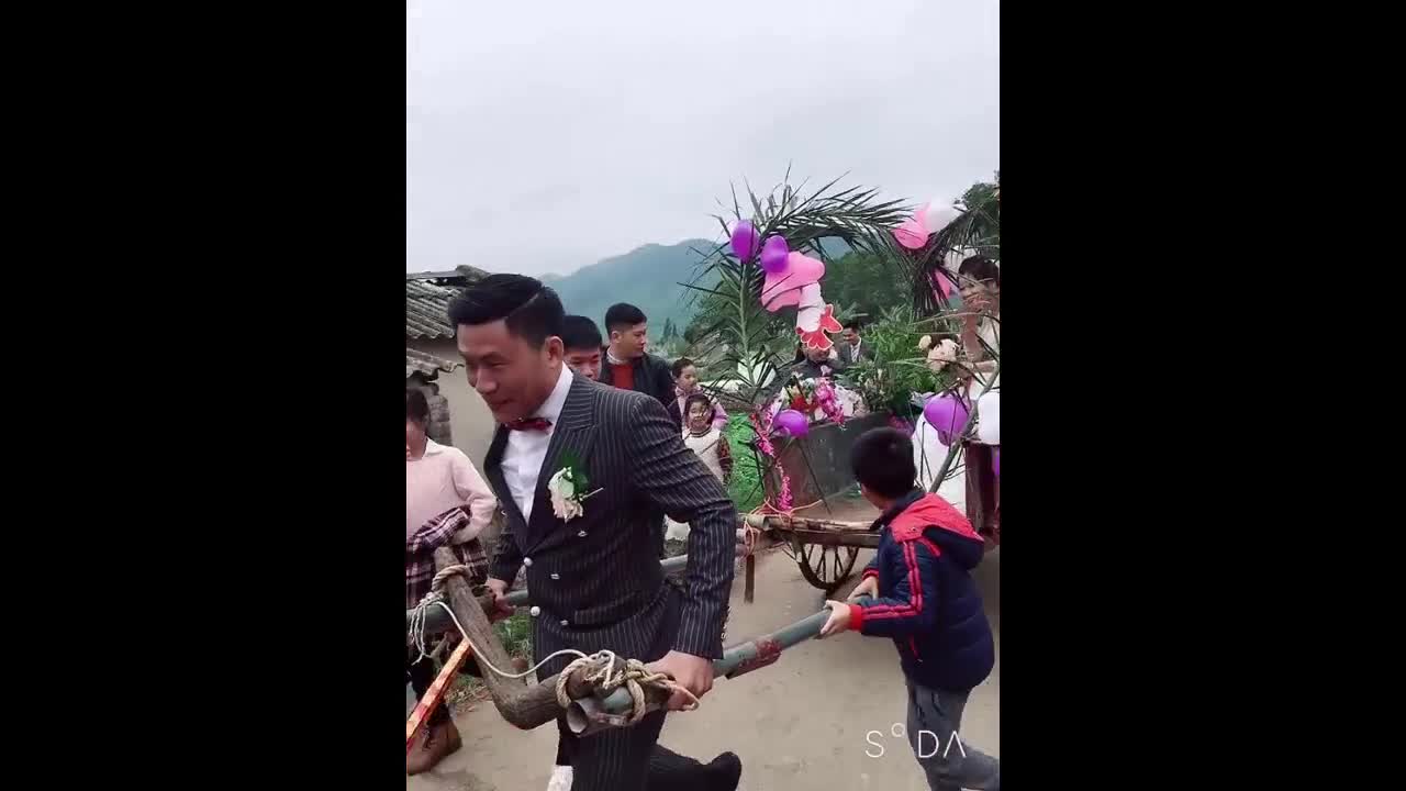 Độc đáo màn rước dâu bằng xe trâu ở Bắc Giang