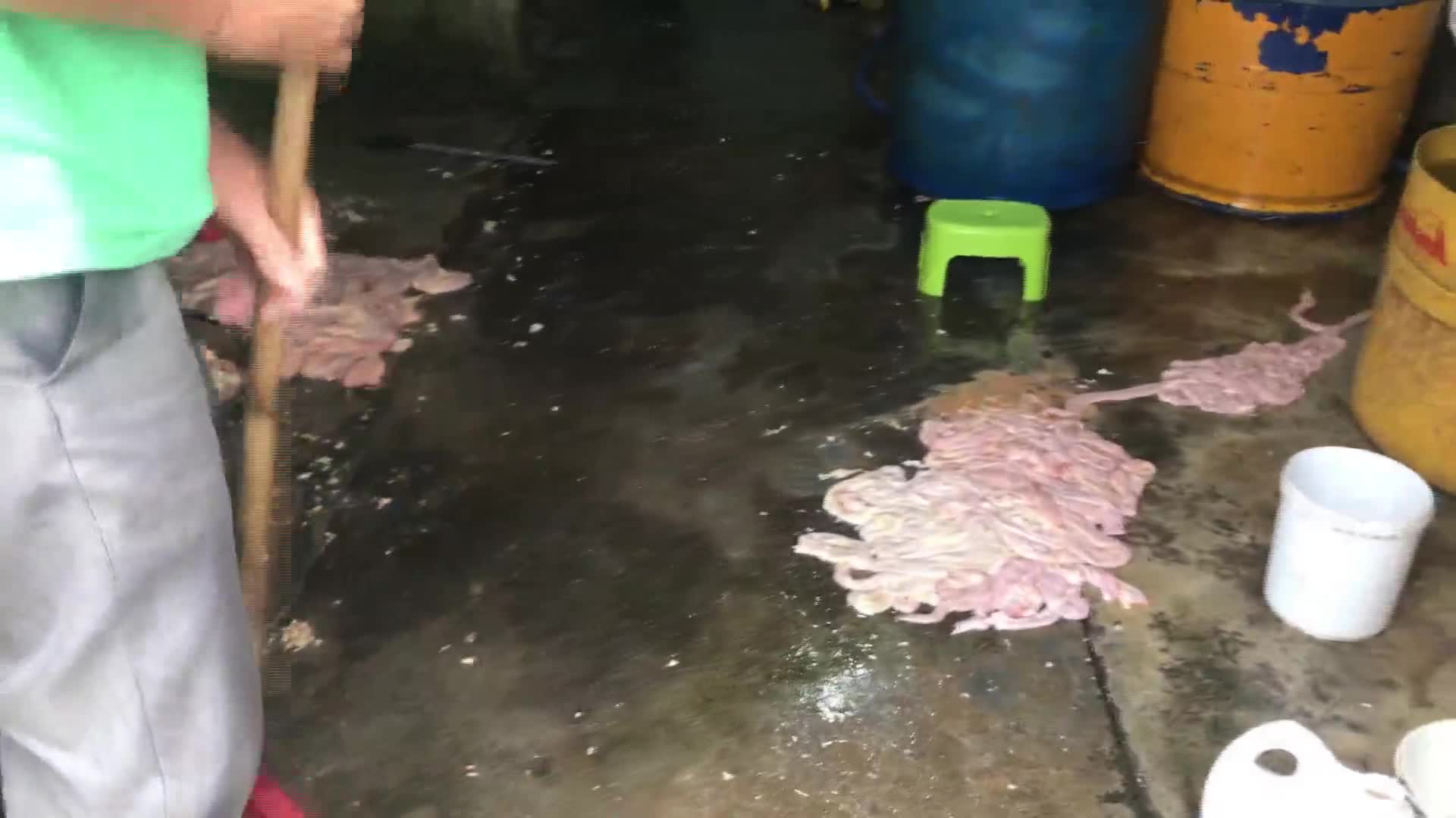 clip cơ sở chế biến nội tạng bẩn gần bãi rác Khánh Sơn, TP Đà Nẵng