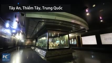 Cận cảnh cỗ xe ngựa bằng đồng lớn nhất thế giới trong lăng mộ Tần Thủy Hoàng