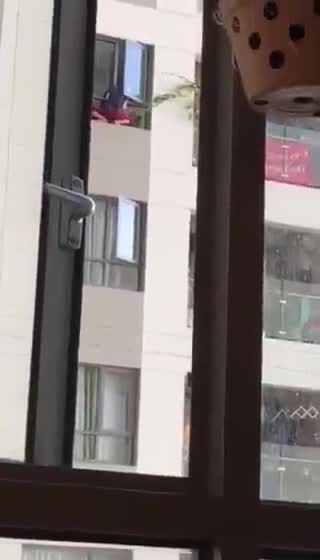 Đau tim cảnh người phụ nữ trèo ra ngoài cửa sổ chung cư để lau kính