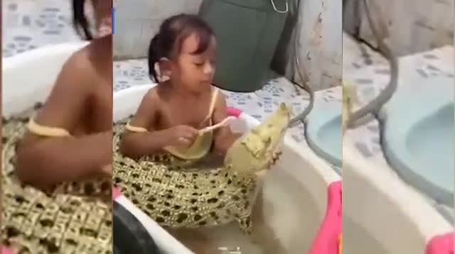 Bé gái thản nhiên đánh răng cho cá sấu trong bồn tắm