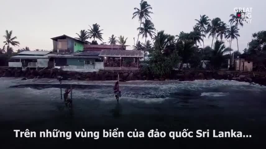 Khám phá truyền thống câu cá trên cọc kheo độc đáo ở Sri Lanka