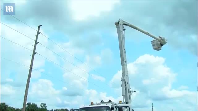 Lực lượng cứu hộ Mỹ toát mồ hôi giải cứu mèo trên đỉnh cột điện