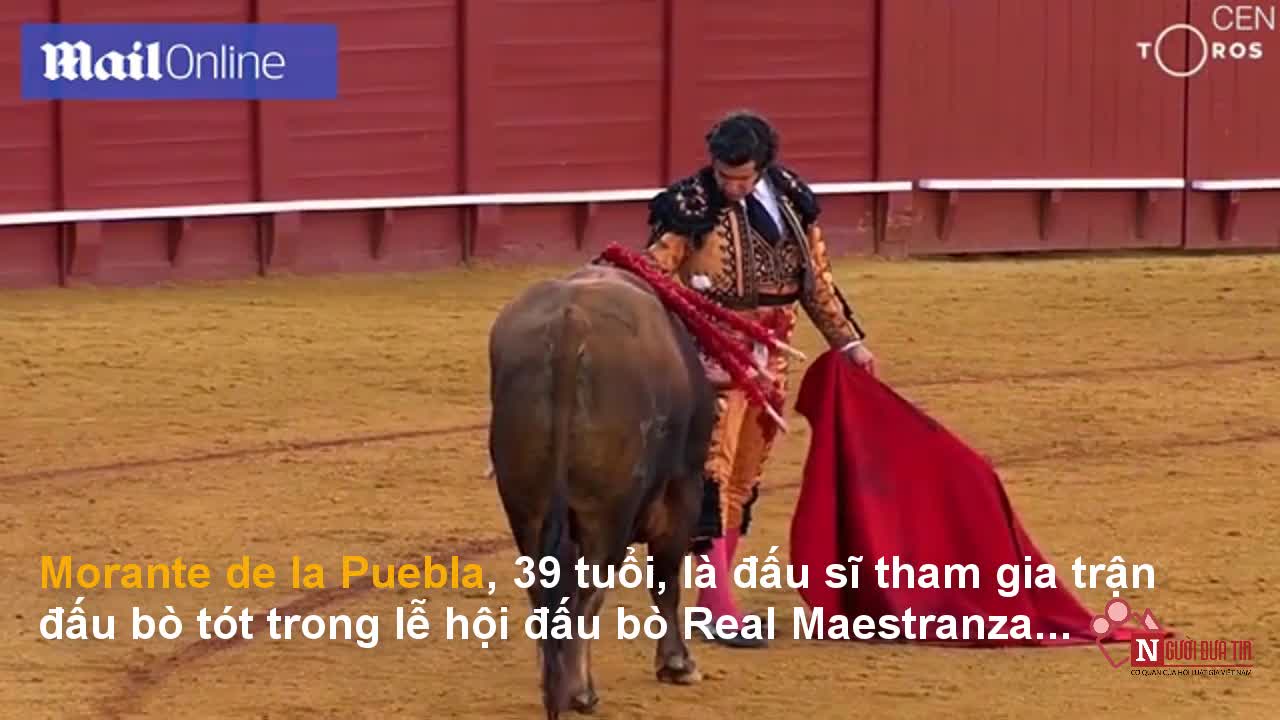 Đấu sĩ Tây Ban Nha lau nước mắt cho bò đực trước khi giết