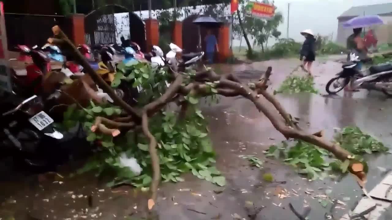 Người dân chặt cây bị đổ ngã do lốc xoáy ở Nghệ An