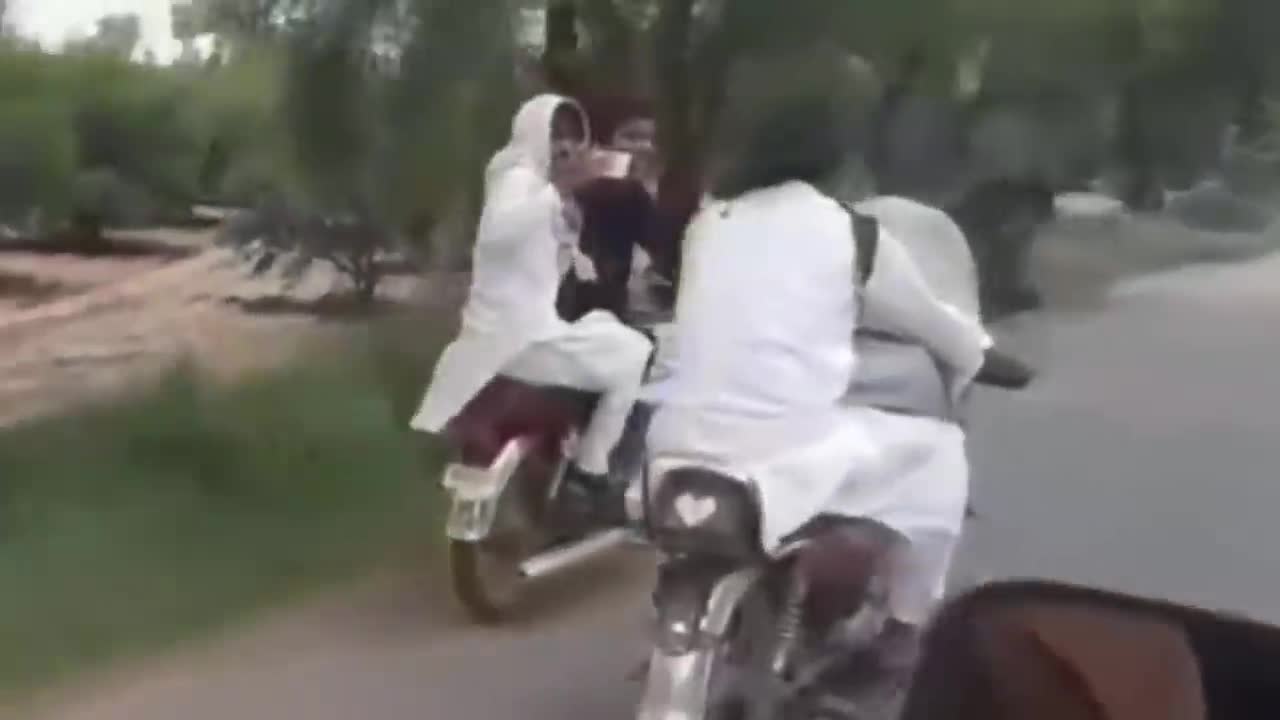 Thanh niên chở bò dạo phố bằng xe máy gây sốt mạng xã hội