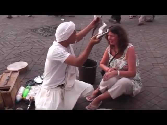 Clip: Độc đáo màn thôi miên rắn ở chợ trời Morocco