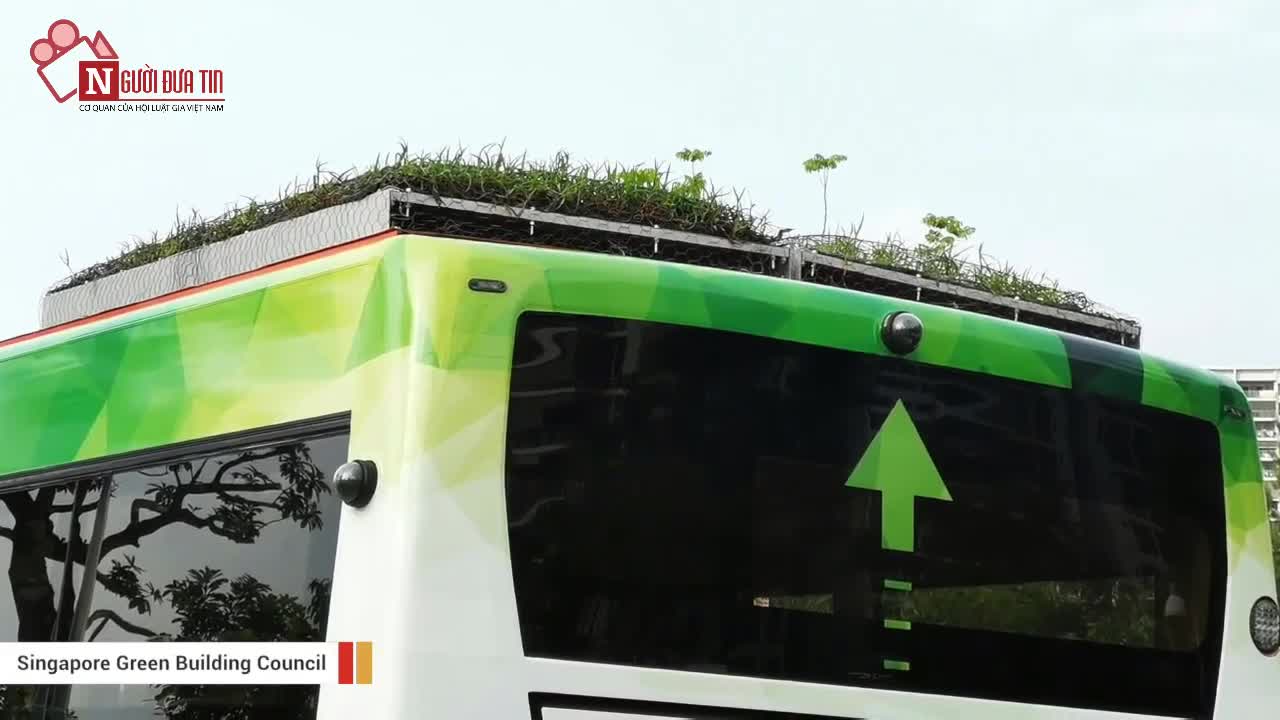 Cận cảnh vườn cây trên nóc xe buýt tại Singapore