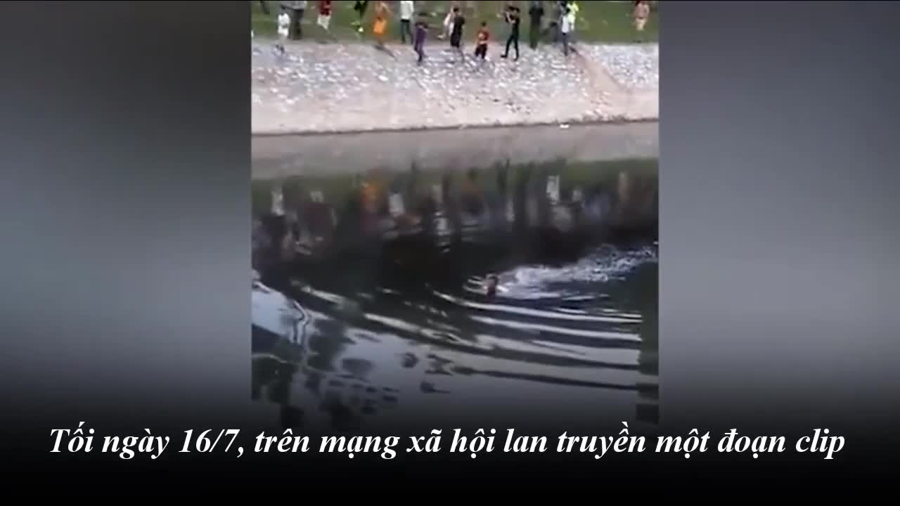 Xuất hiện thanh niên bơi giữa sông Tô Lịch khiến nhiều người hoảng hốt