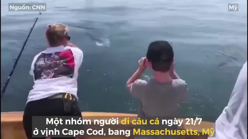 Cá mập phi thân lên mặt nước cướp mồi câu
