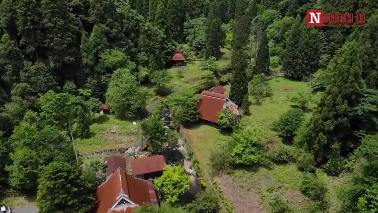 Thiên nhiên “nuốt chửng” ngôi làng bỏ hoang 20 năm