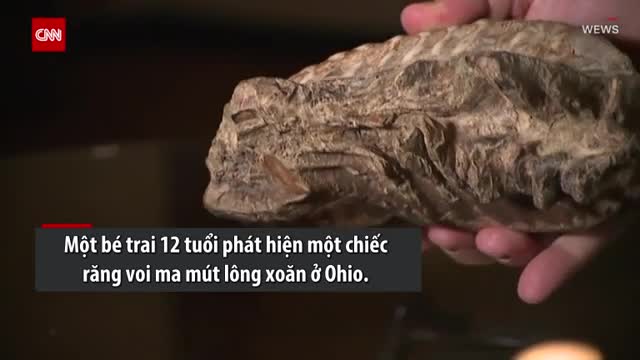 Cậu bé 12 tuổi bất ngờ nhặt được răng voi ma mút tuyệt chủng 10.000 năm