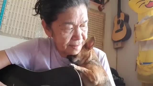 Soup sáng: Cụ bà vừa ôm chú chó nhỏ, vừa đánh đàn guitar cover ca khúc More Than I Can Say