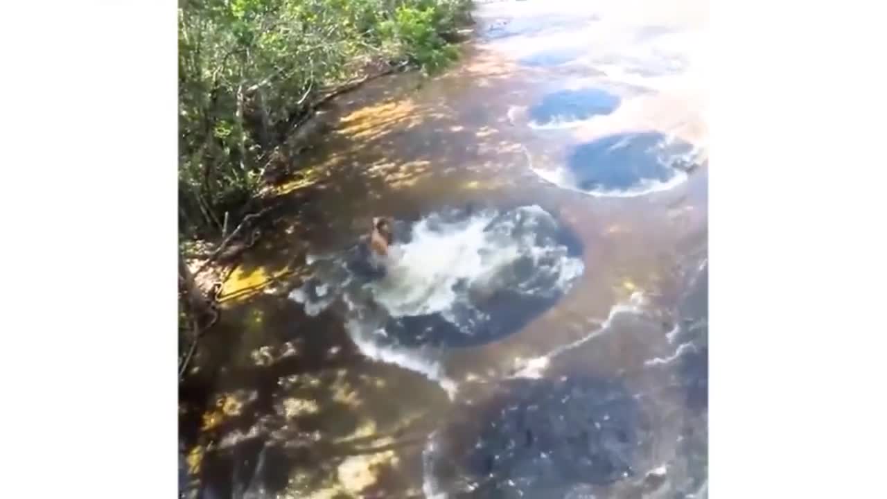 Những hố sâu kỳ lạ ẩn dưới chân thác nước ở Brazil thu hút du khách