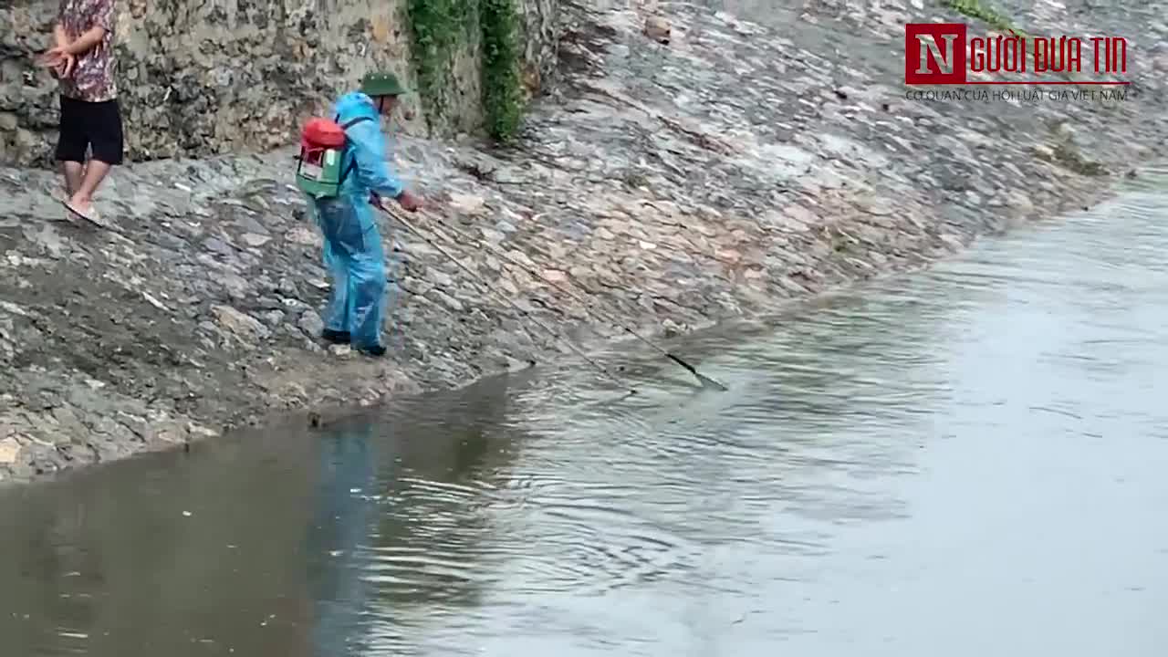 Đổ xô ra sông Kim Ngưu bắt cá ngày mưa bão