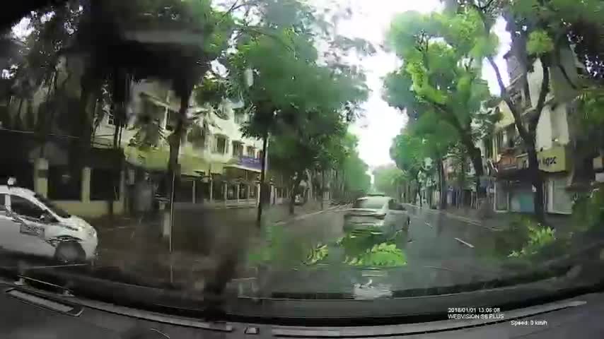 Cây đổ la liệt trên phố và hành động ấm lòng ngày mưa bão của tài xế xe tải