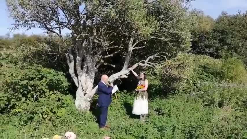Bà mẹ trẻ tổ chức hôn lễ với...một cái cây