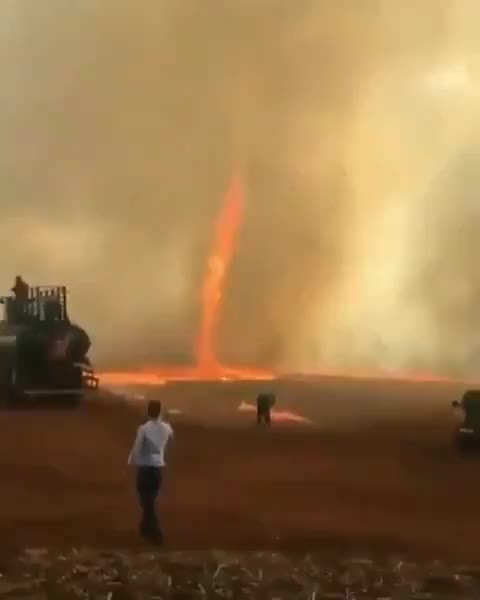 Clip: Xuất hiện quỷ lửa siêu hiếm, càn quét trang trại ở Brazil
