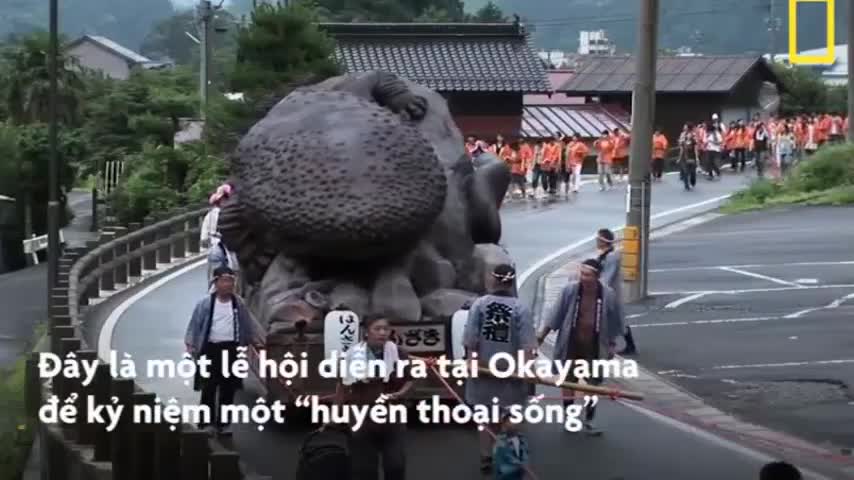 Loài thủy quái 36kg nhút nhát ở Nhật Bản