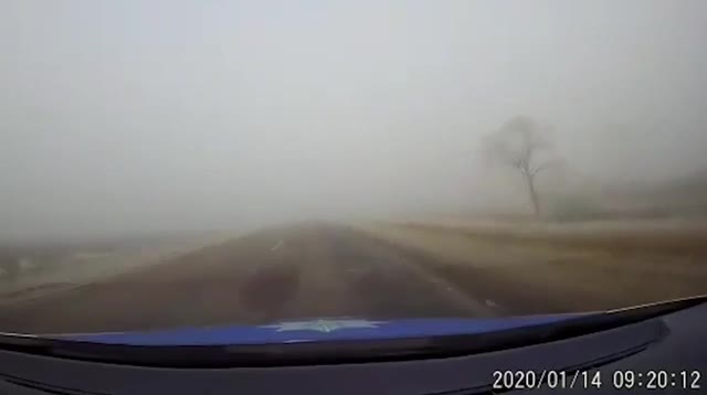 Vượt ẩu trong sương mù dày đặc, 2 ô tô đấu đầu kinh hoàng