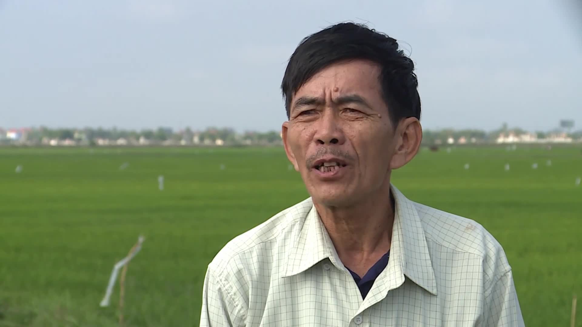 Ông Trần Văn Dù, trú xã Hàm Ninh cho biết các phương pháp đánh bắt chuột