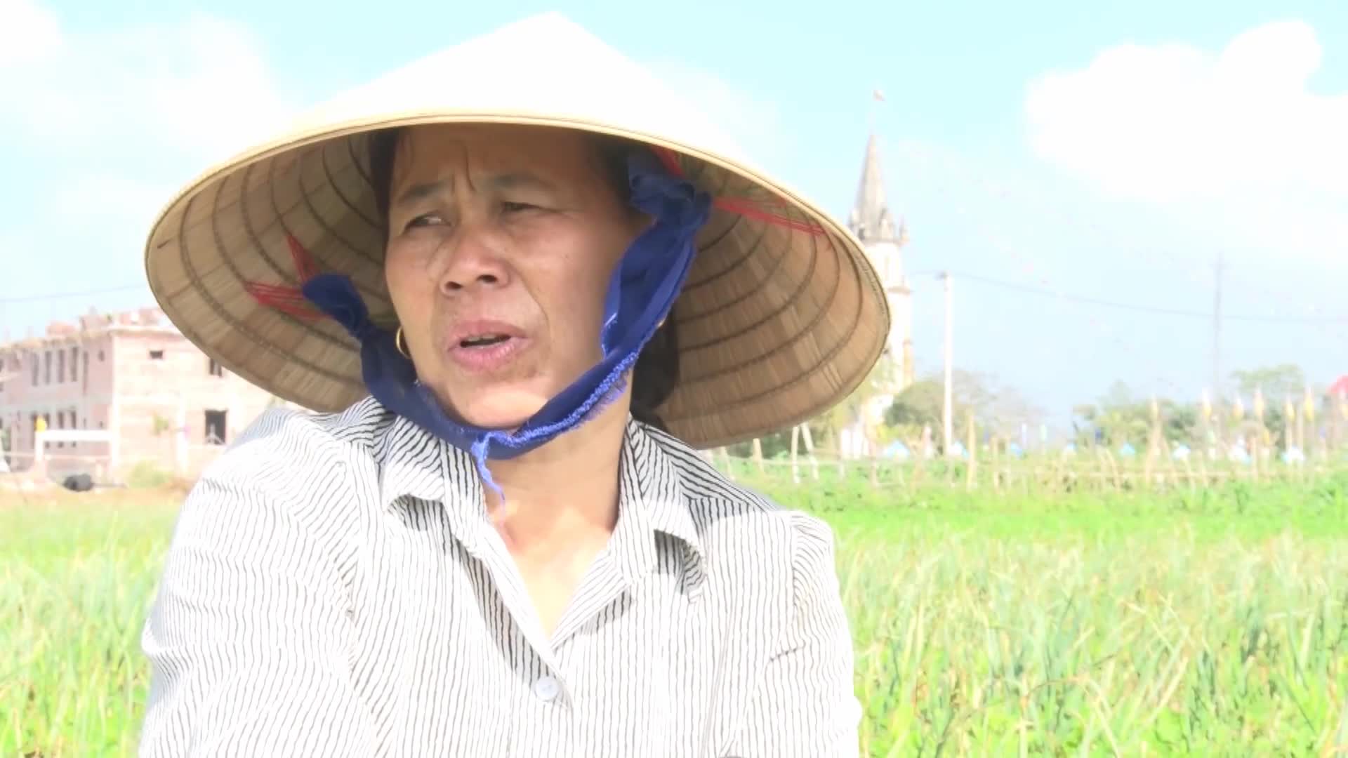 Bà Trần Thị Bích, thôn Cồn Nâm, xã Quảng Minh