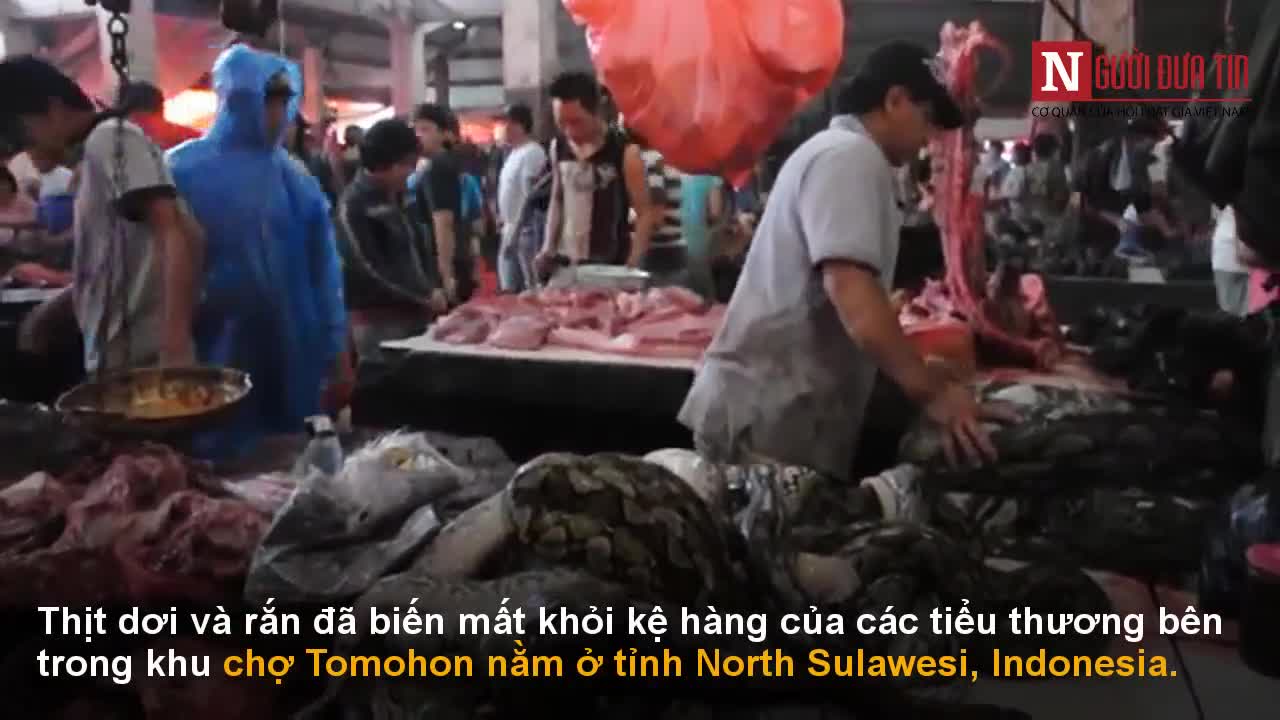 Bên trong khu chợ đáng sợ nhất Indonesia từng bán thịt rơi rơi trước đại dịch