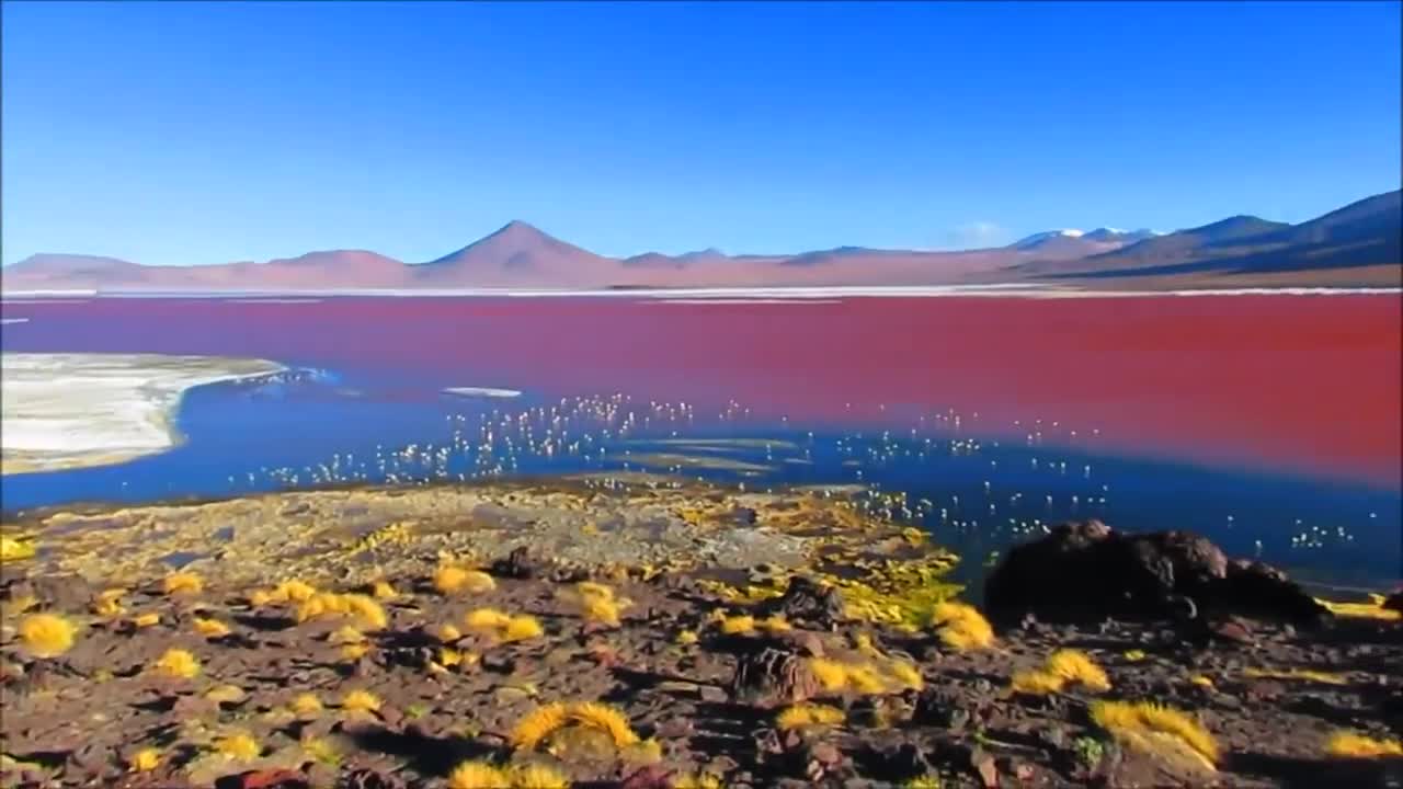 Video: Hồ muối cạn có màu đỏ cam độc đáo thu hút hồng hạc về sinh sống