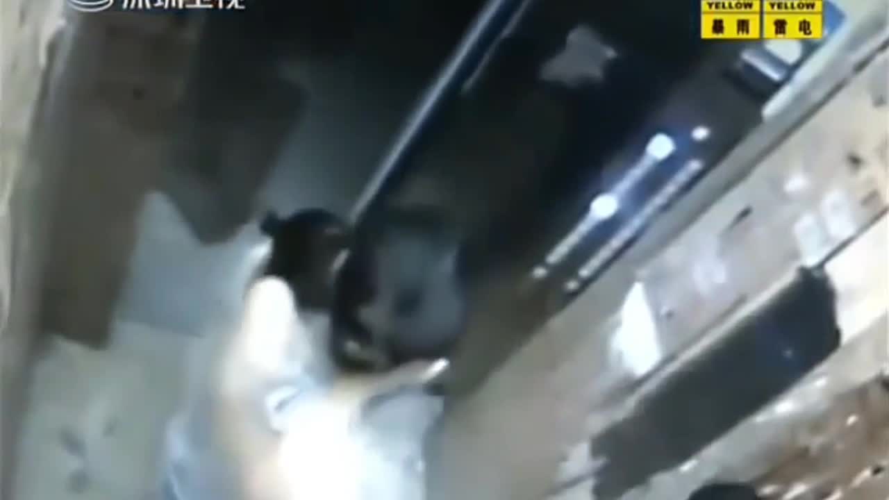 Bé gái giúp mẹ đánh kẻ sàm sỡ ngay trước cửa thang máy