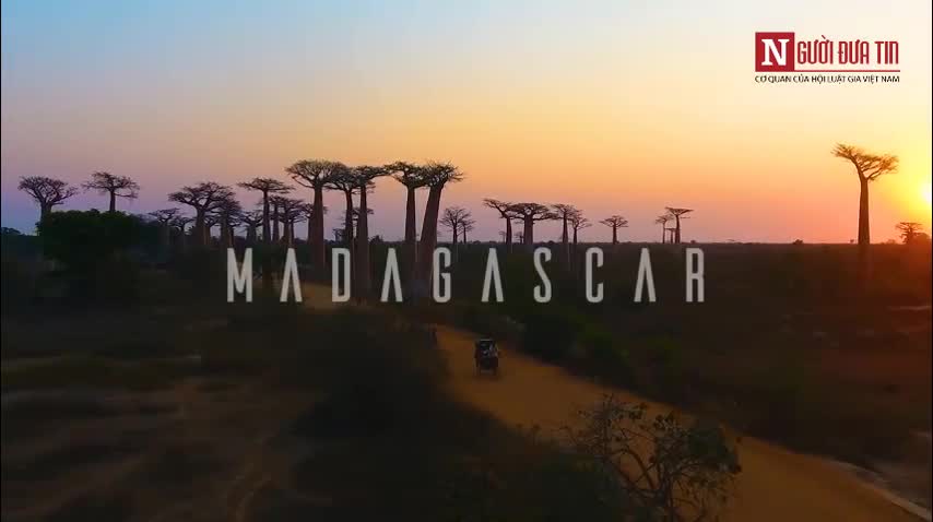 Khám phá đại lộ cây mọc ngược hùng vĩ tại Madagascar