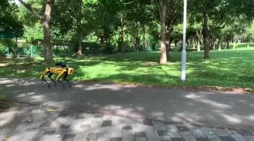 Robot chó tuần tra trong công viên ở Singapore