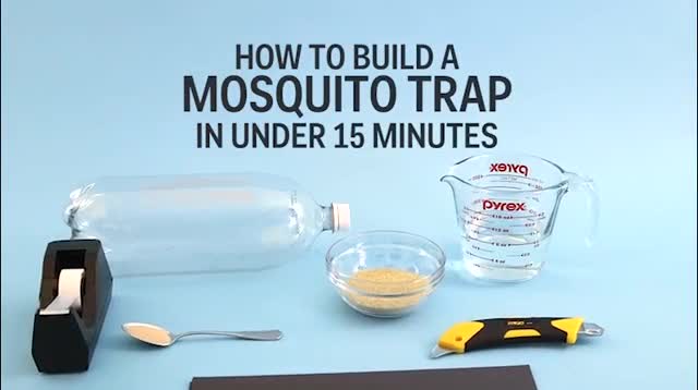 Mẹo phòng muỗi đơn giản và hiệu quả ai cũng có thể làm