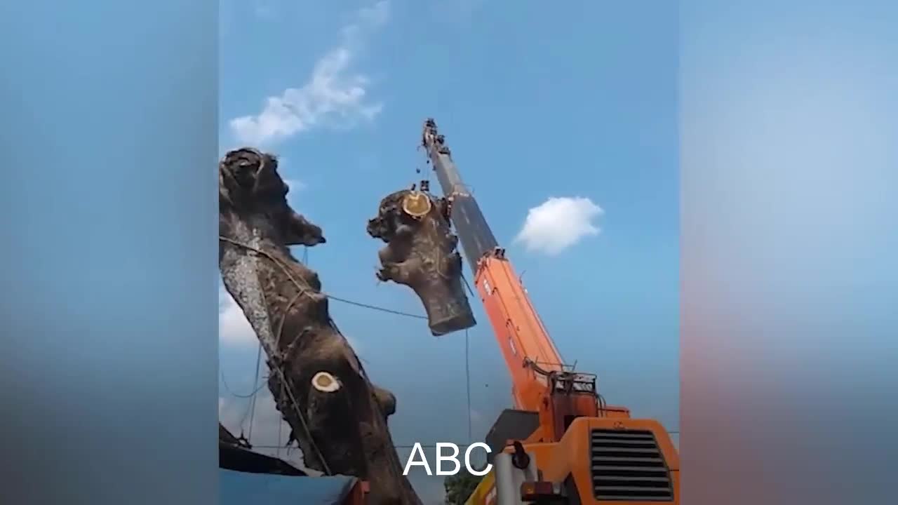 Xe cẩu bị lật vì nâng thân cây quá nặng