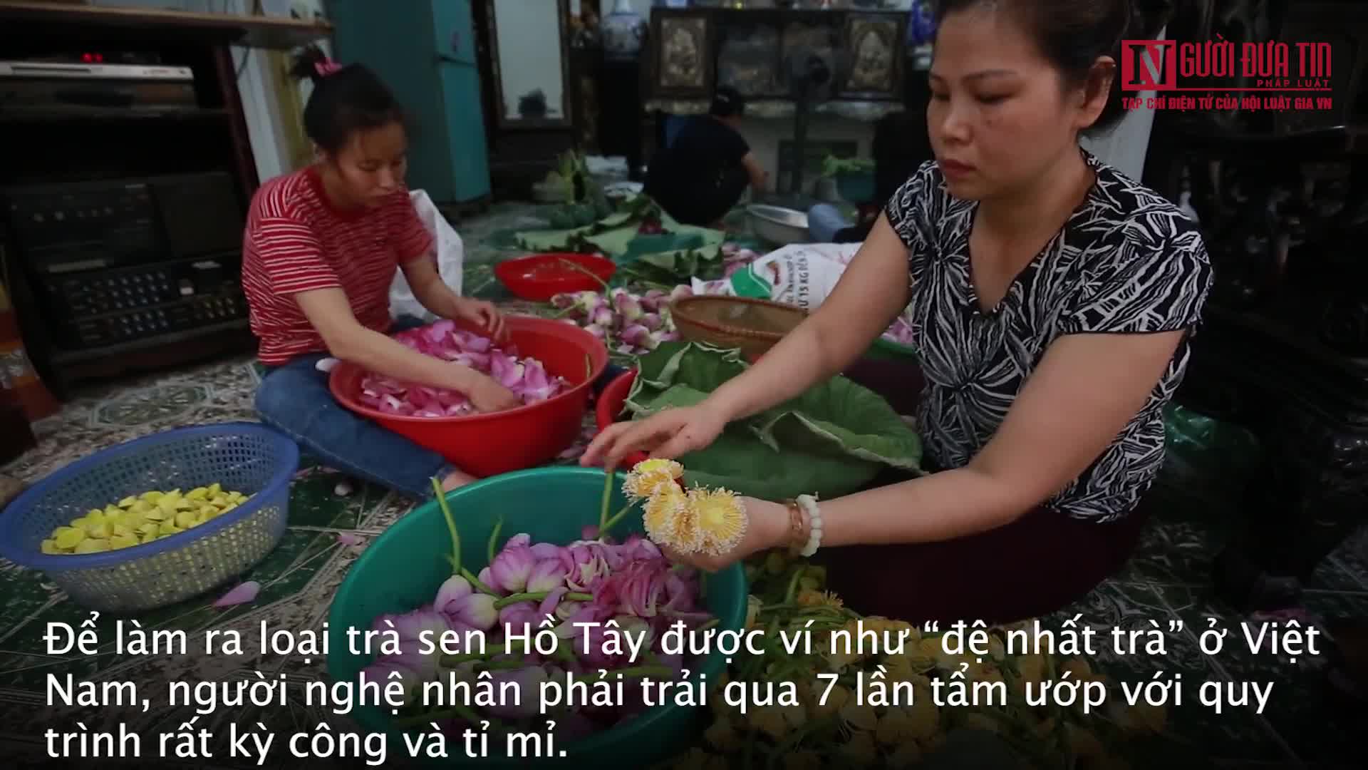 Quá trình làm ra đệ nhất trà ở Việt Nam