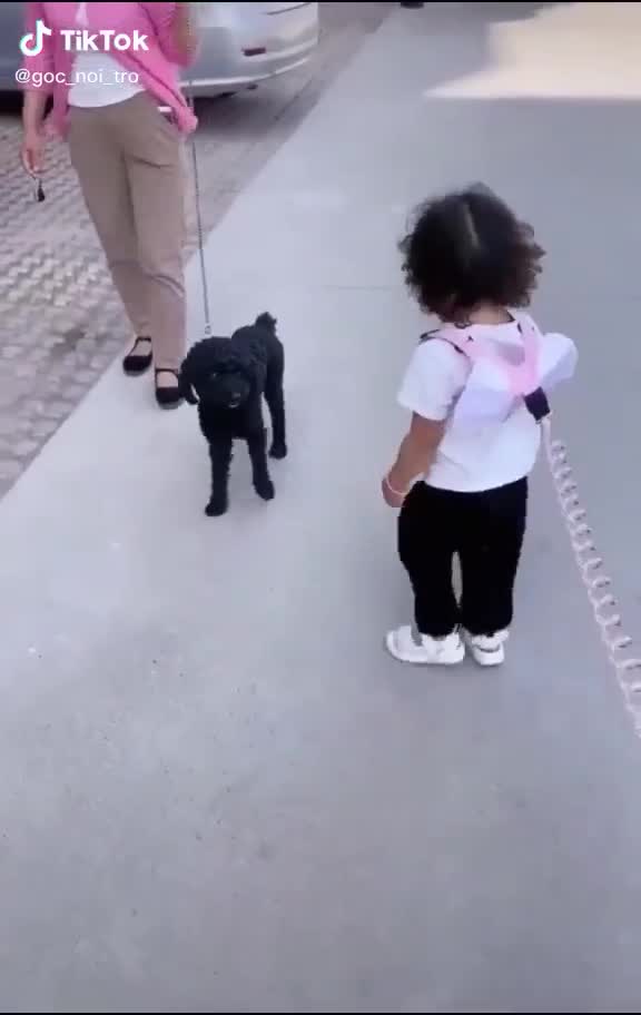 Bé gái có hành động bất ngờ khi đang đi dạo khiến bố phải choáng